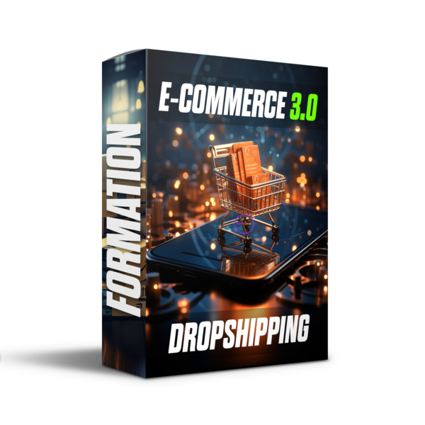 Maitrisez l'E-commerce 3.0 et le dropshipping en 2024